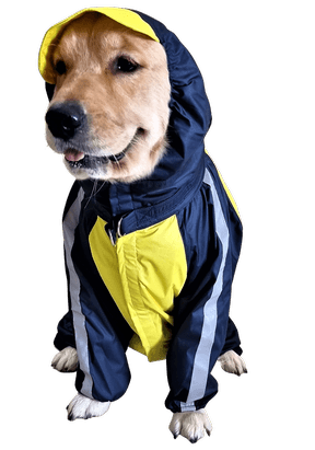 Doxters DryMax Full-Coverage Dog Raincoat Yellow & Navy Blue